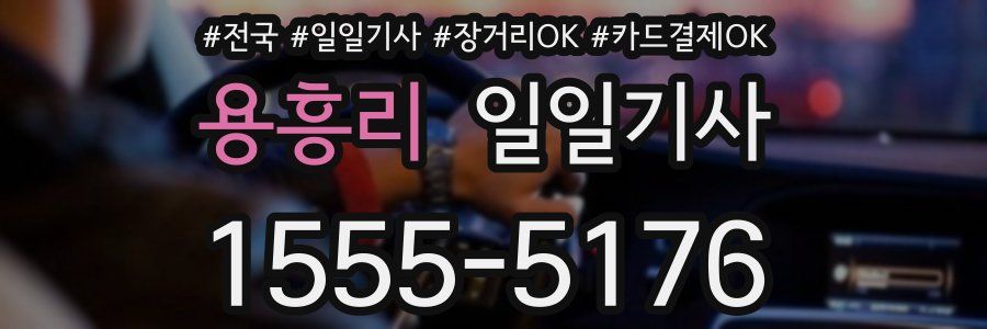 용흥리 일일기사