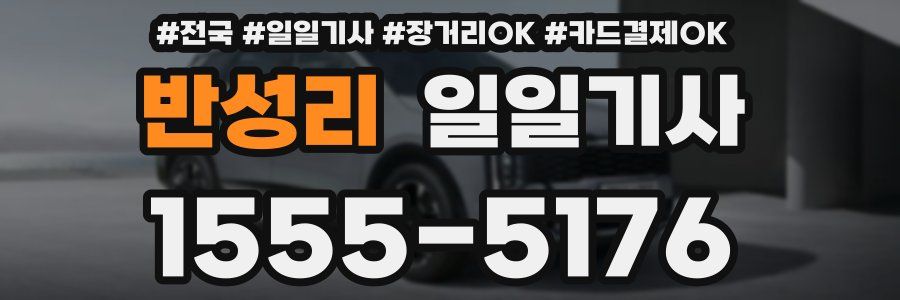 반성리 일일기사