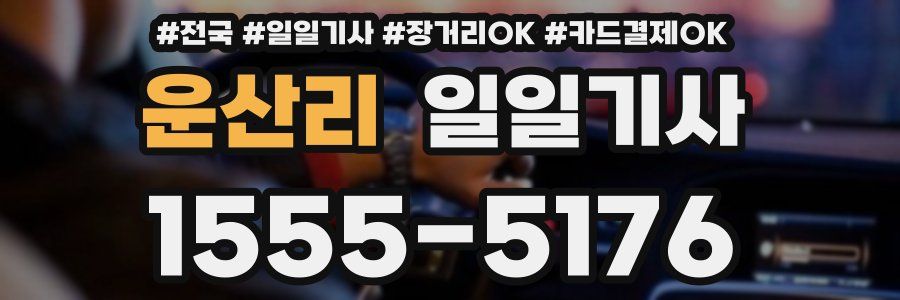 운산리 일일기사