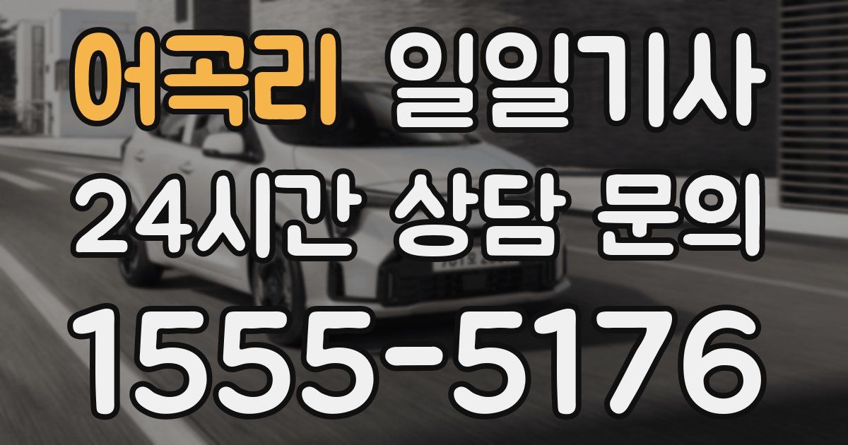 일일대리기사