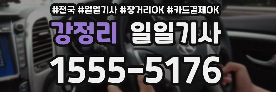 강정리 일일기사