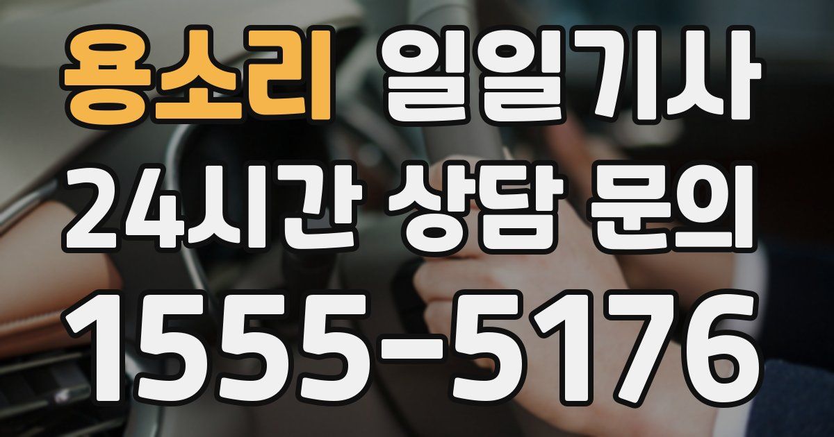 일일대리기사