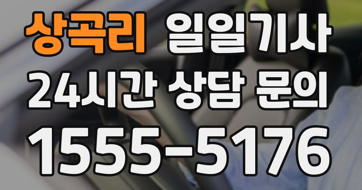 일일대리기사
