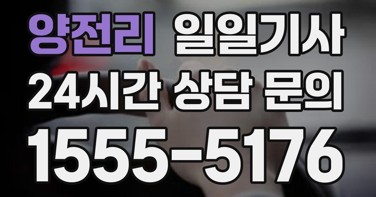 일일대리기사