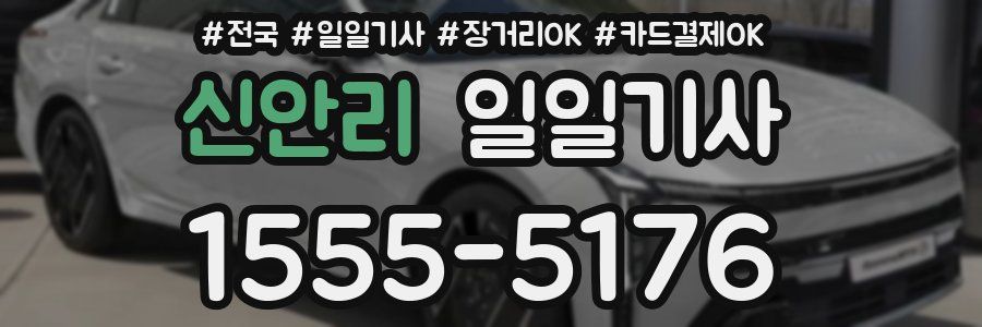 신안리 일일기사