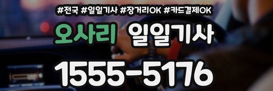 오사리 일일기사