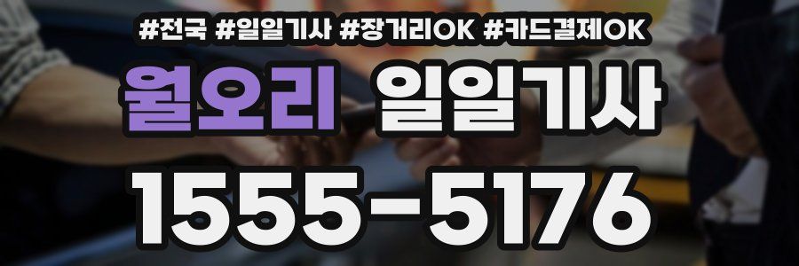 월오리 일일기사