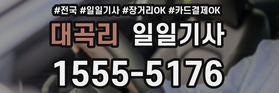 대곡리 일일기사