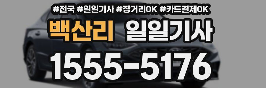 백산리 일일기사