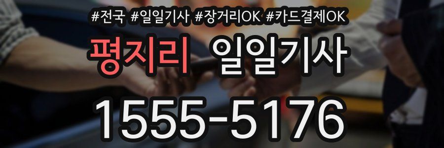 평지리 일일기사