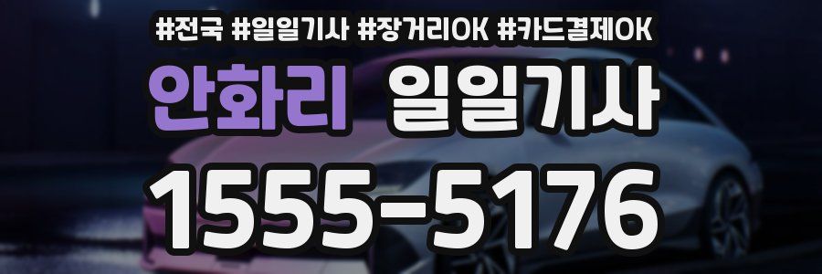 안화리 일일기사