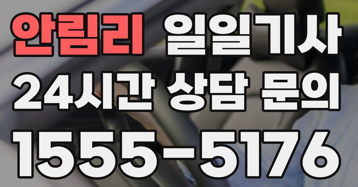 일일대리기사