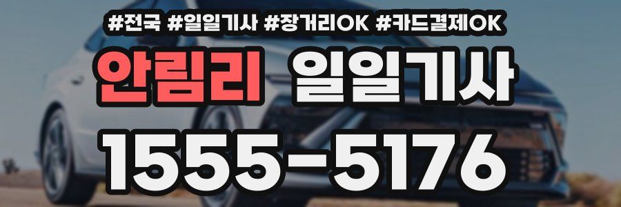 안림리 일일기사