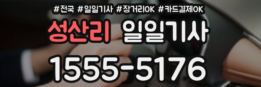 성산리 일일기사