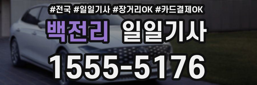 백전리 일일기사