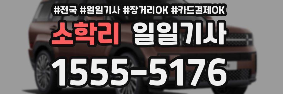 소학리 일일기사