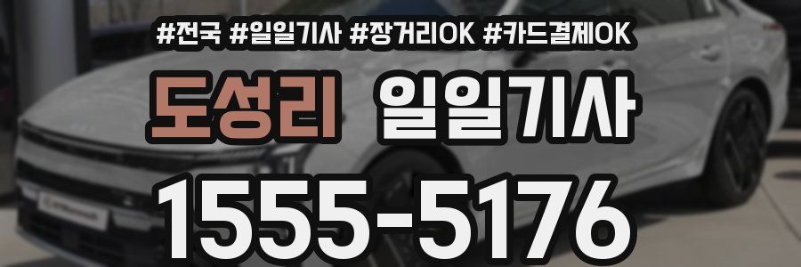 도성리 일일기사