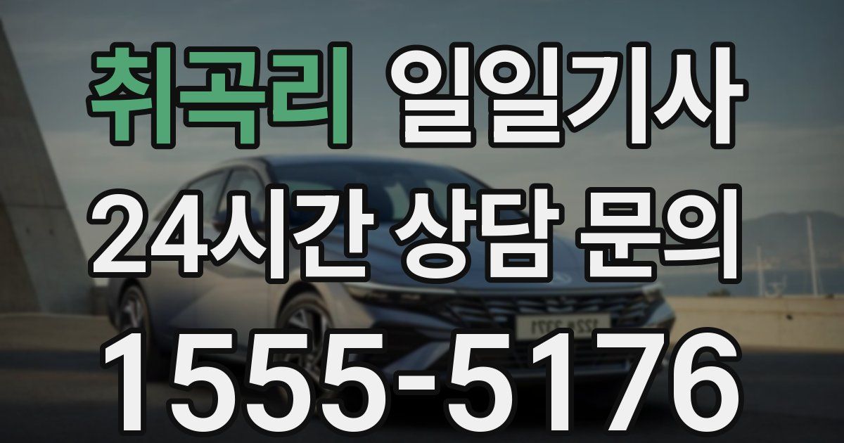 일일대리기사