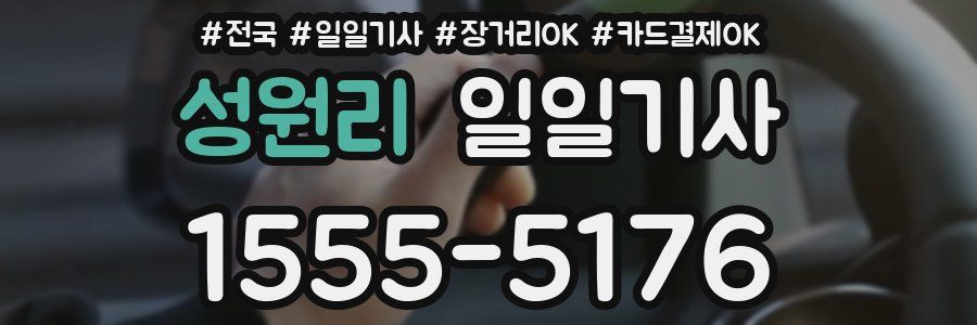 성원리 일일기사