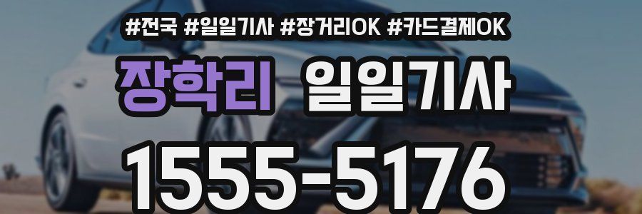 장학리 일일기사