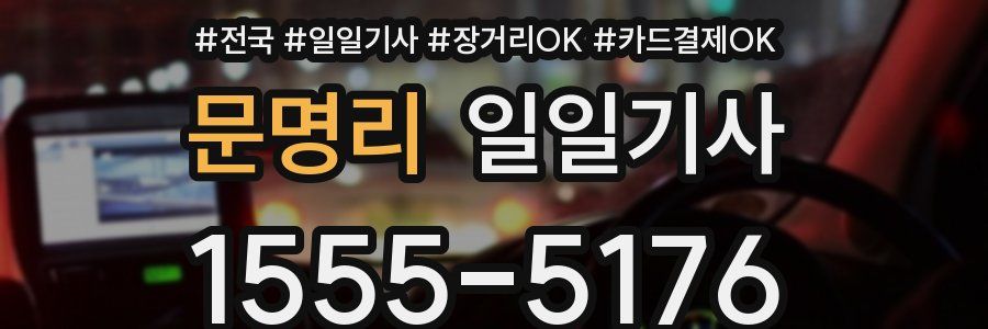 문명리 일일기사