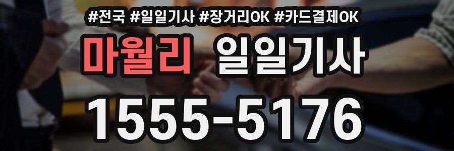 마월리 일일기사