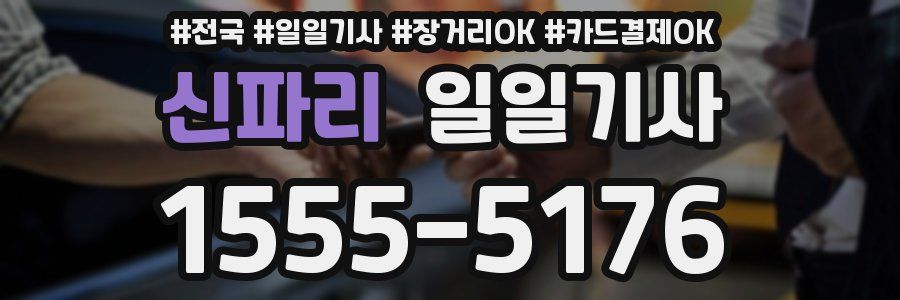 신파리 일일기사