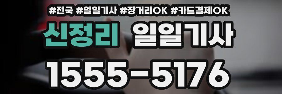 신정리 일일기사