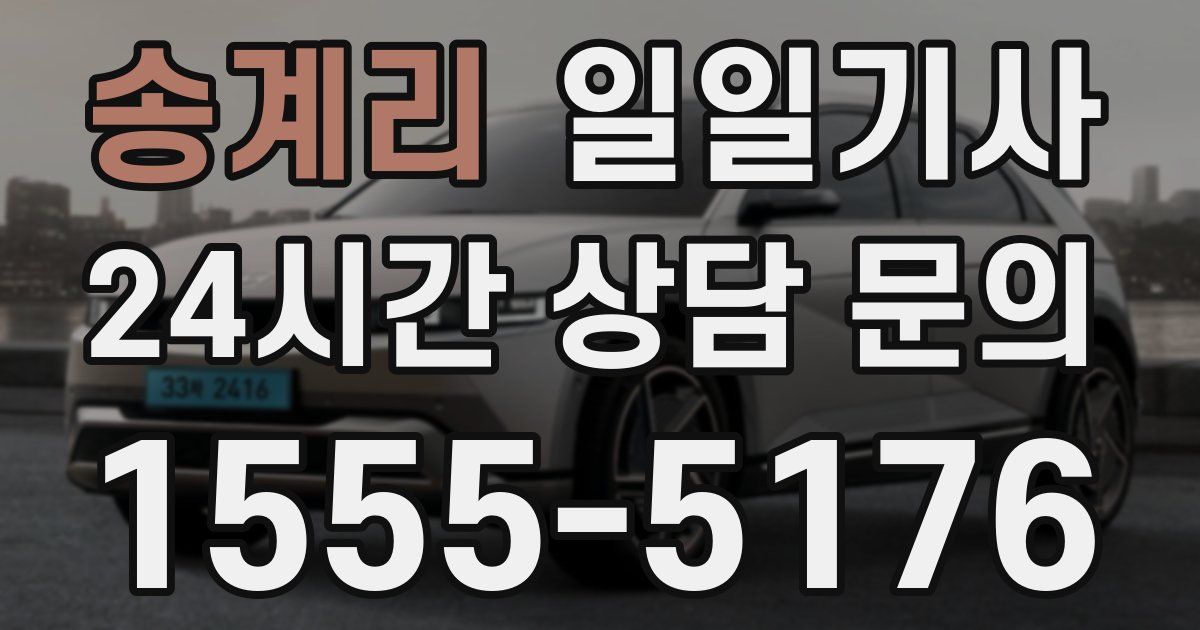 일일대리기사