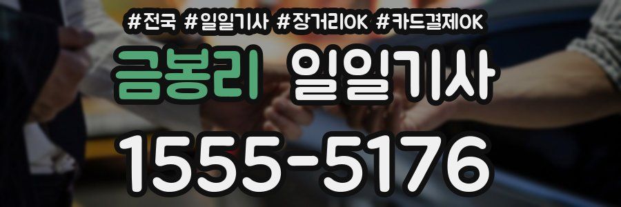 금봉리 일일기사