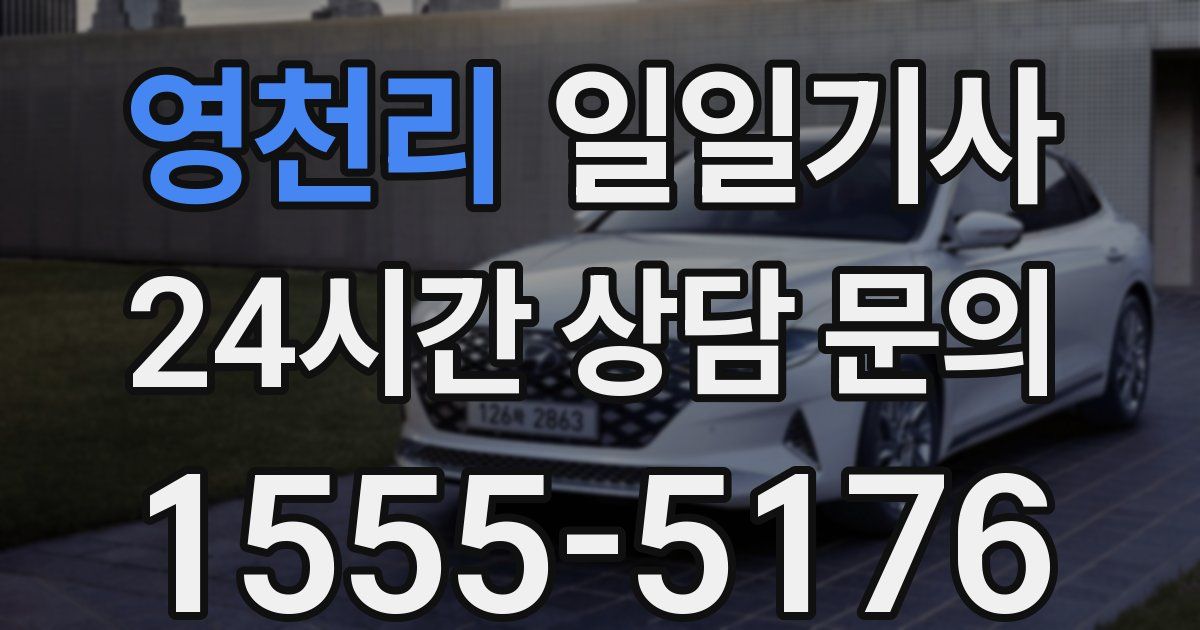 일일대리기사