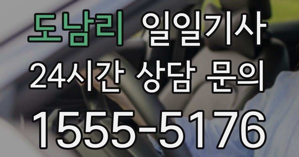 일일대리기사
