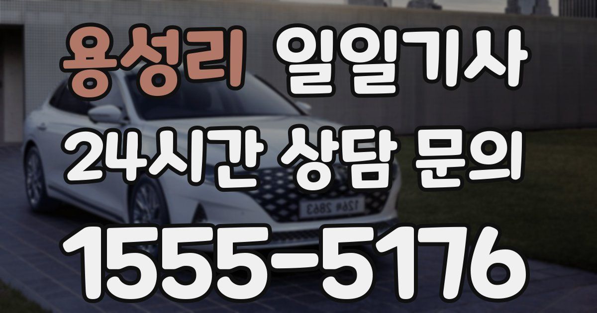일일대리기사