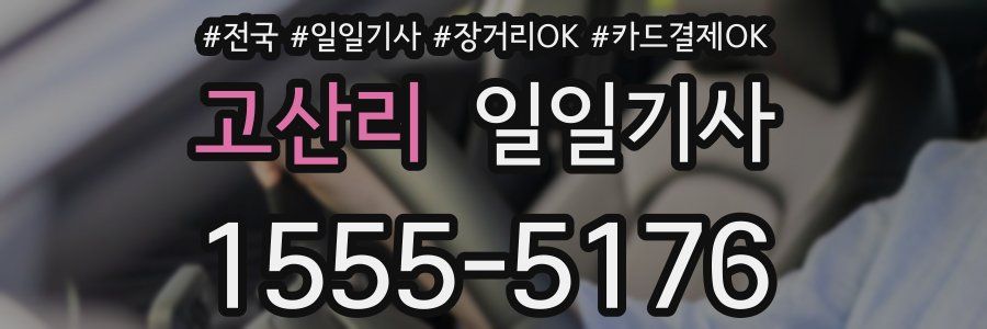 고산리 일일기사