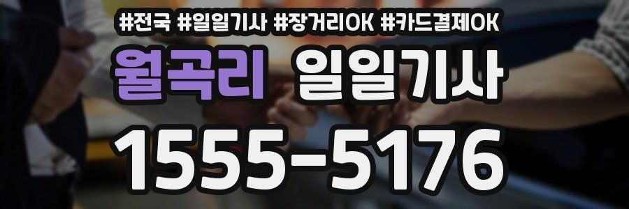 월곡리 일일기사