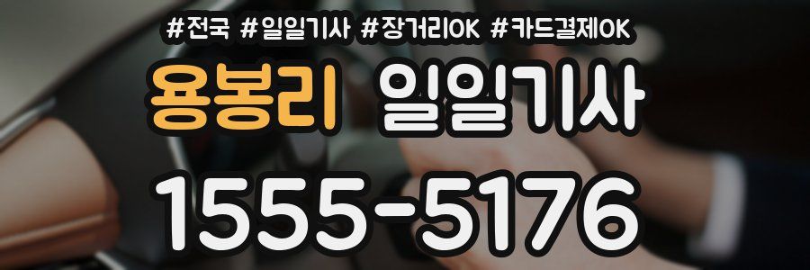 용봉리 일일기사