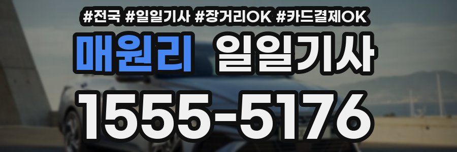 매원리 일일기사