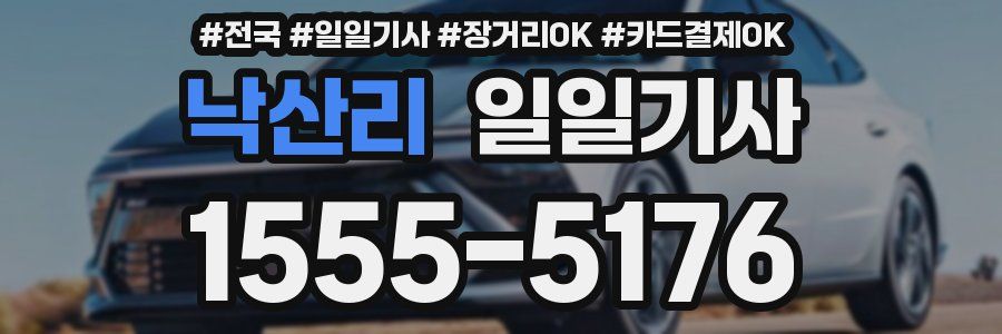 낙산리 일일기사