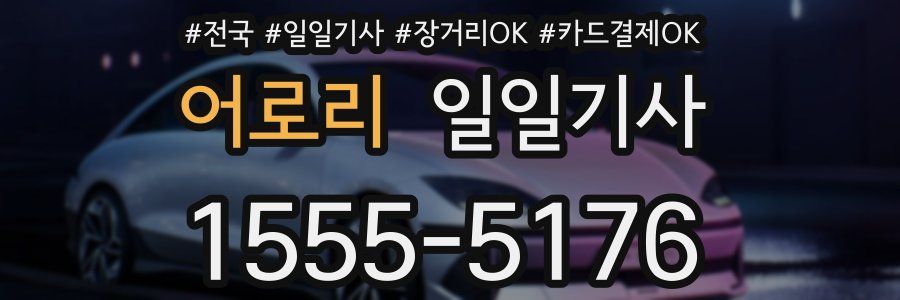 어로리 일일기사