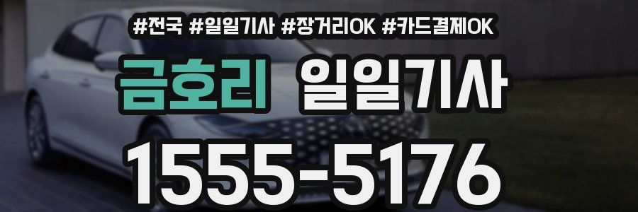 금호리 일일기사