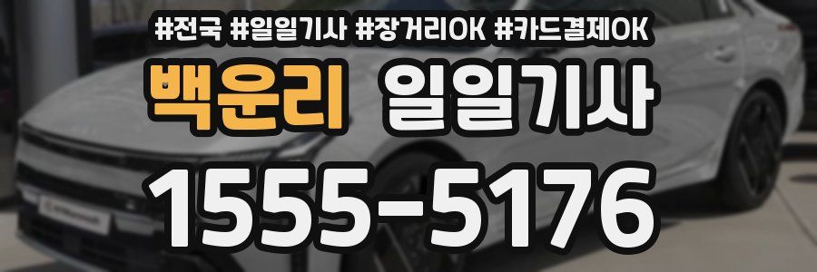 백운리 일일기사