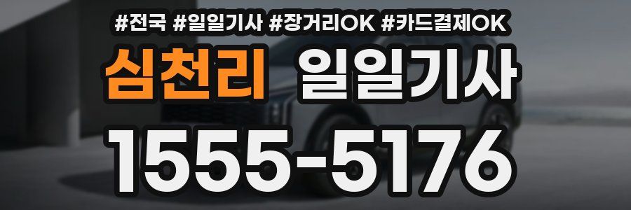 심천리 일일기사
