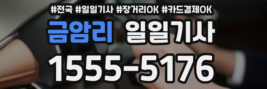 금암리 일일기사