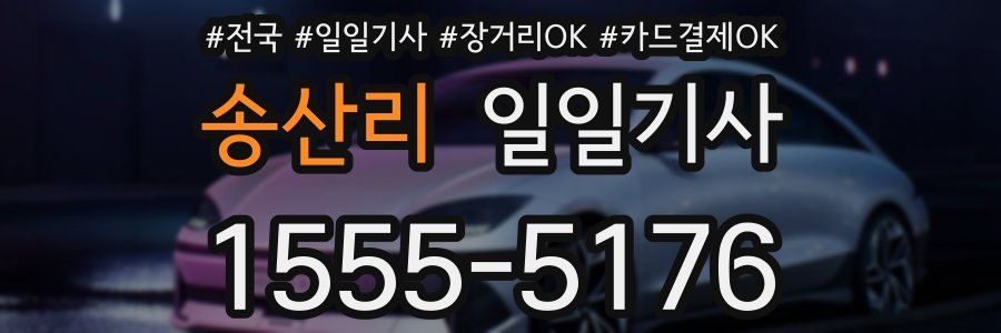 송산리 일일기사