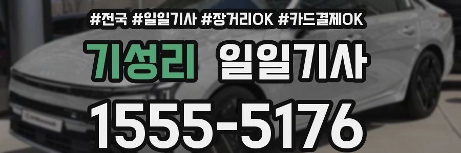 기성리 일일기사