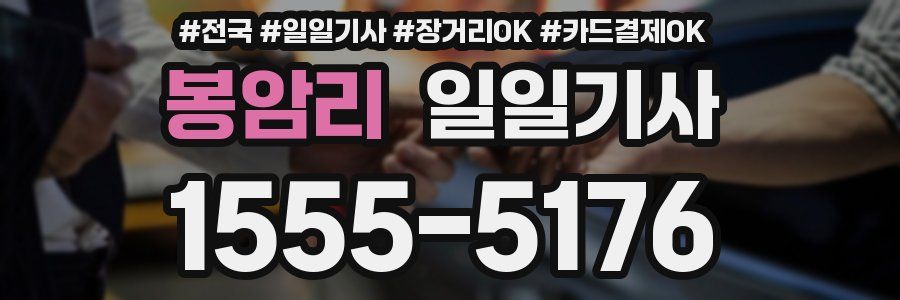 봉암리 일일기사