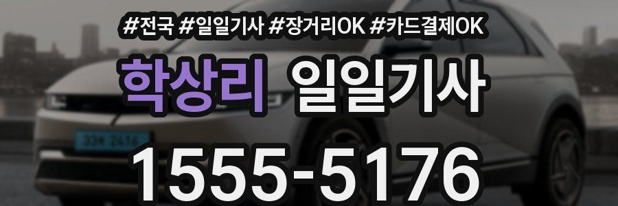 학상리 일일기사