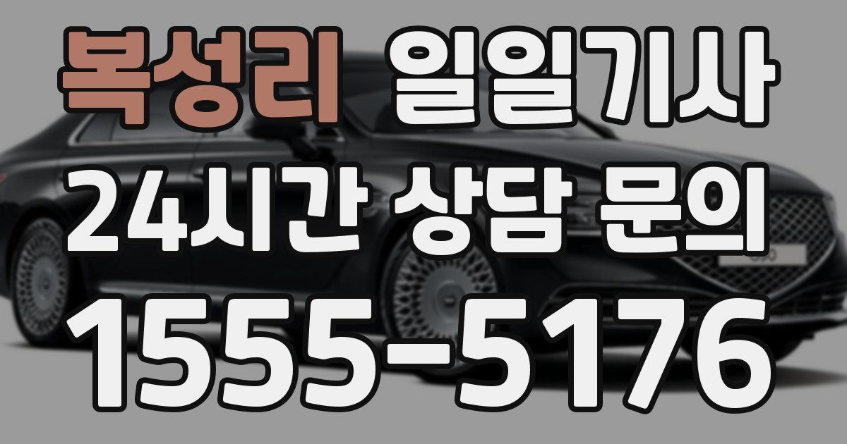 일일대리기사