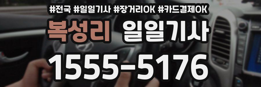 복성리 일일기사