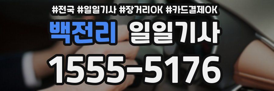 백전리 일일기사